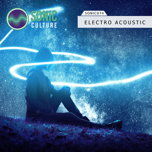 Electronic acoustic album cover for Sonic Culture